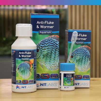 NT Labs Anti-Fluke & Wormer Aquarium Fish Tank Disease Treatment