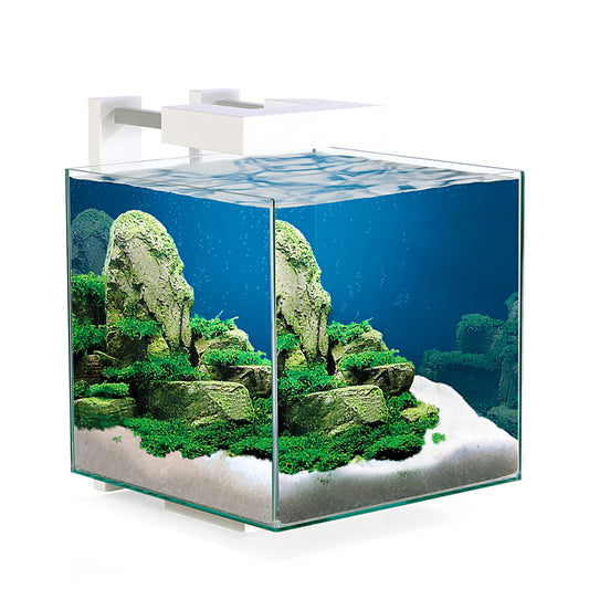 Ciano Nexus Pure 15 Shrimp Aquarium 14L