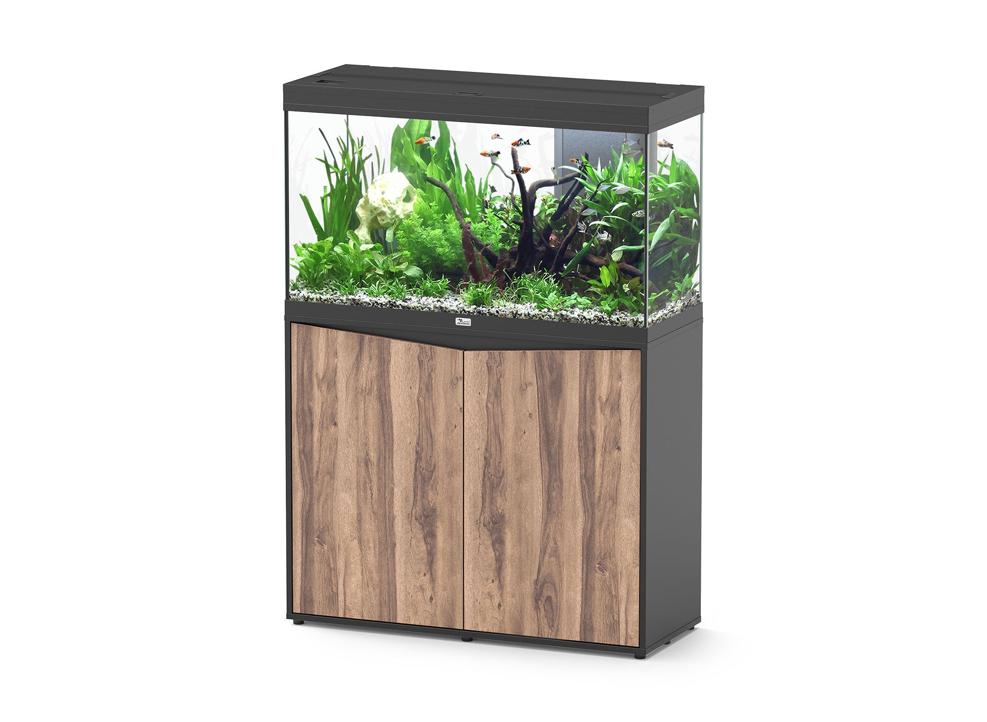 Aquatlantis Splendid Ultra 100 Aquarium