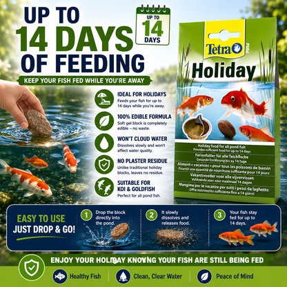 Complete Pond Fish Feeding & Protection Bundle – Tetra Food, Holiday Block & Cover Net