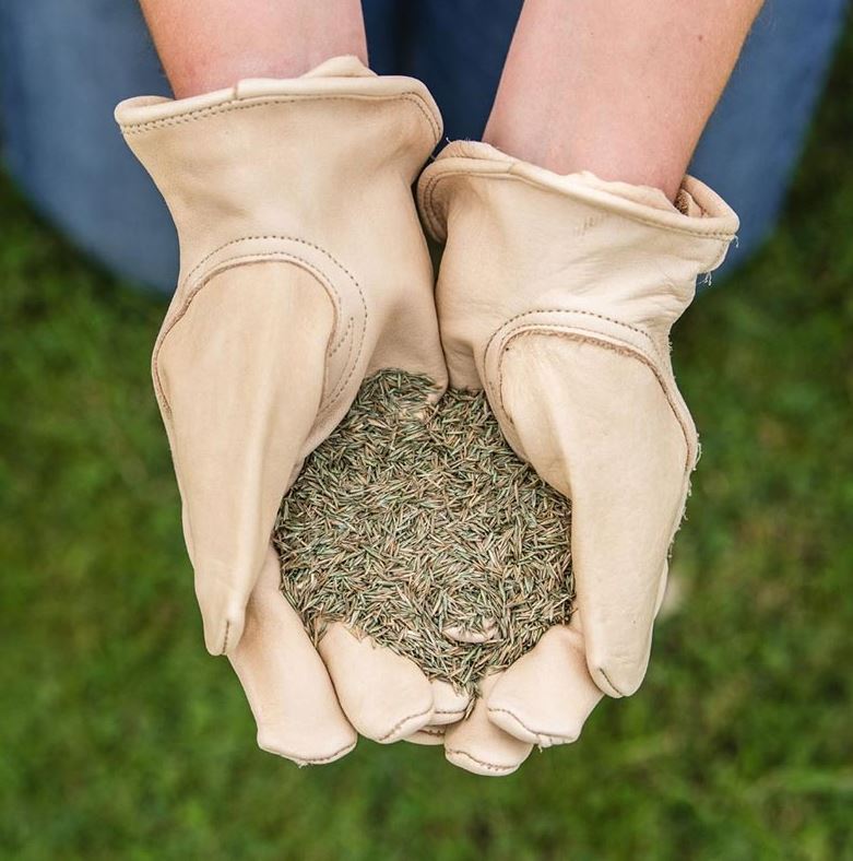 Westland Gro-Sure Fine & Luxurious Lawn Seed 30m² Dense Ornamental Lawn