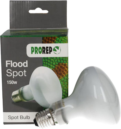 Prorep Flood Spot Lamps