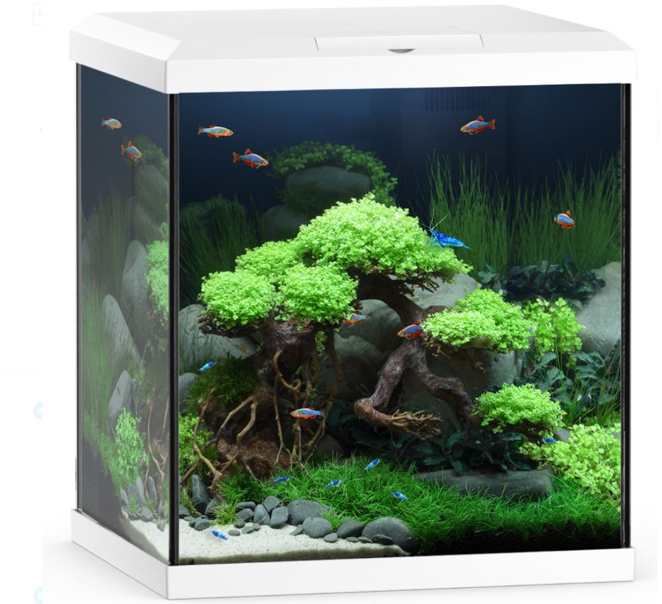 Juwel 54 L Vio Cube Aquarium Fish Tank Set with LED Filter Heater and Cabinet