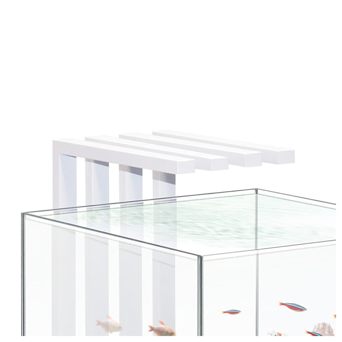 Ciano Nexus Pure 25 Shrimp Aquarium 22L