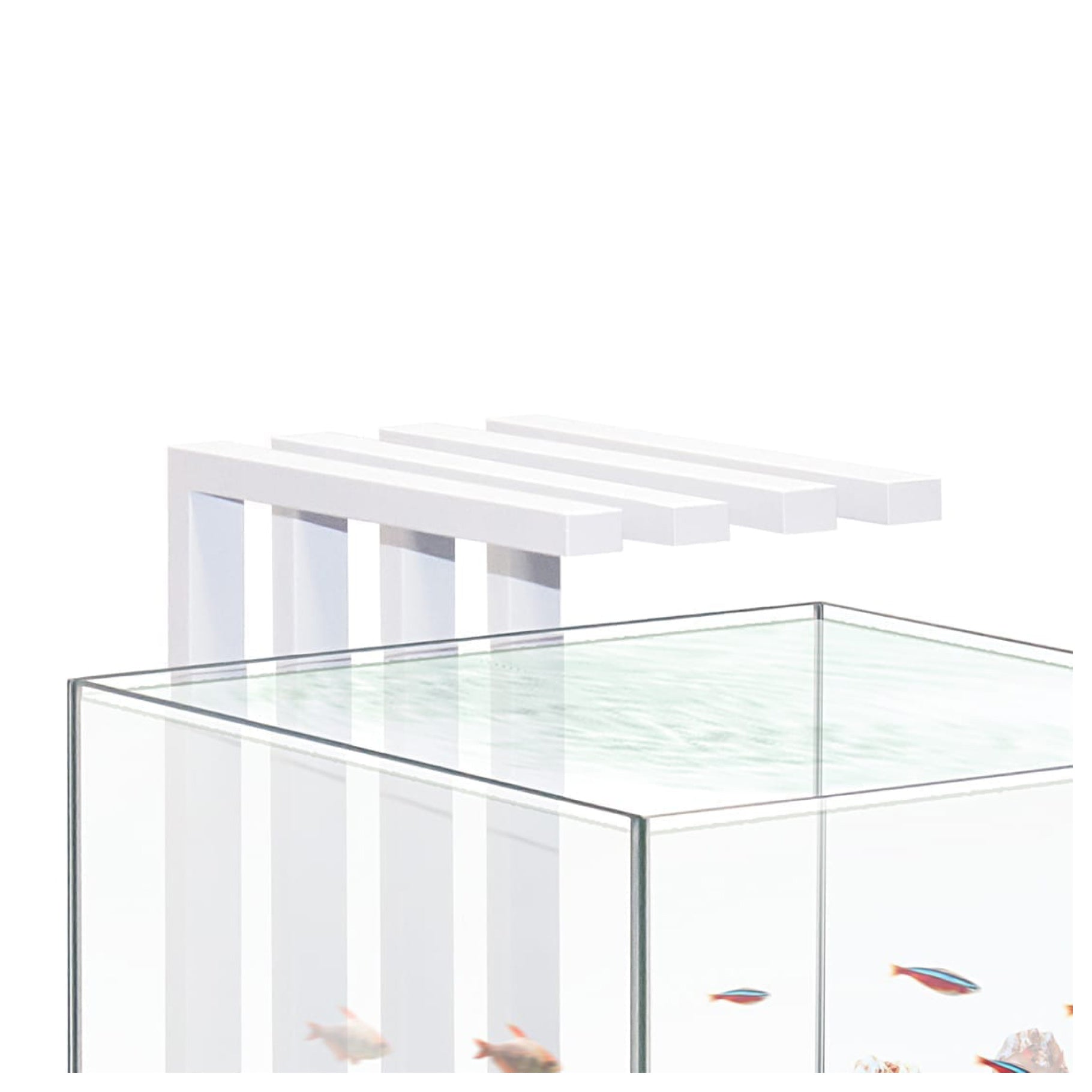 Ciano Nexus Pure 25 Shrimp Aquarium 22L