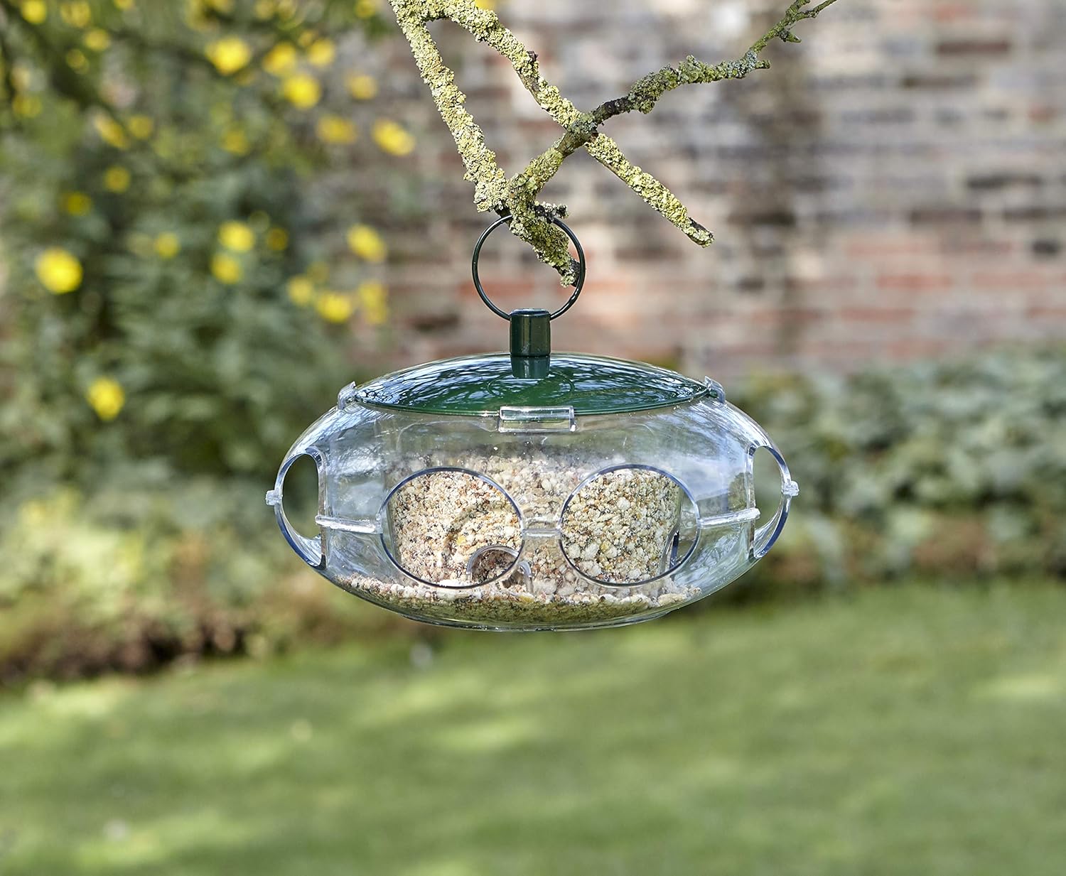 Peckish Small Bird Seed Feeder