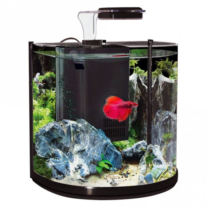 Aqua One Betta Tank BT10 Half Round Aquarium 10 Litres