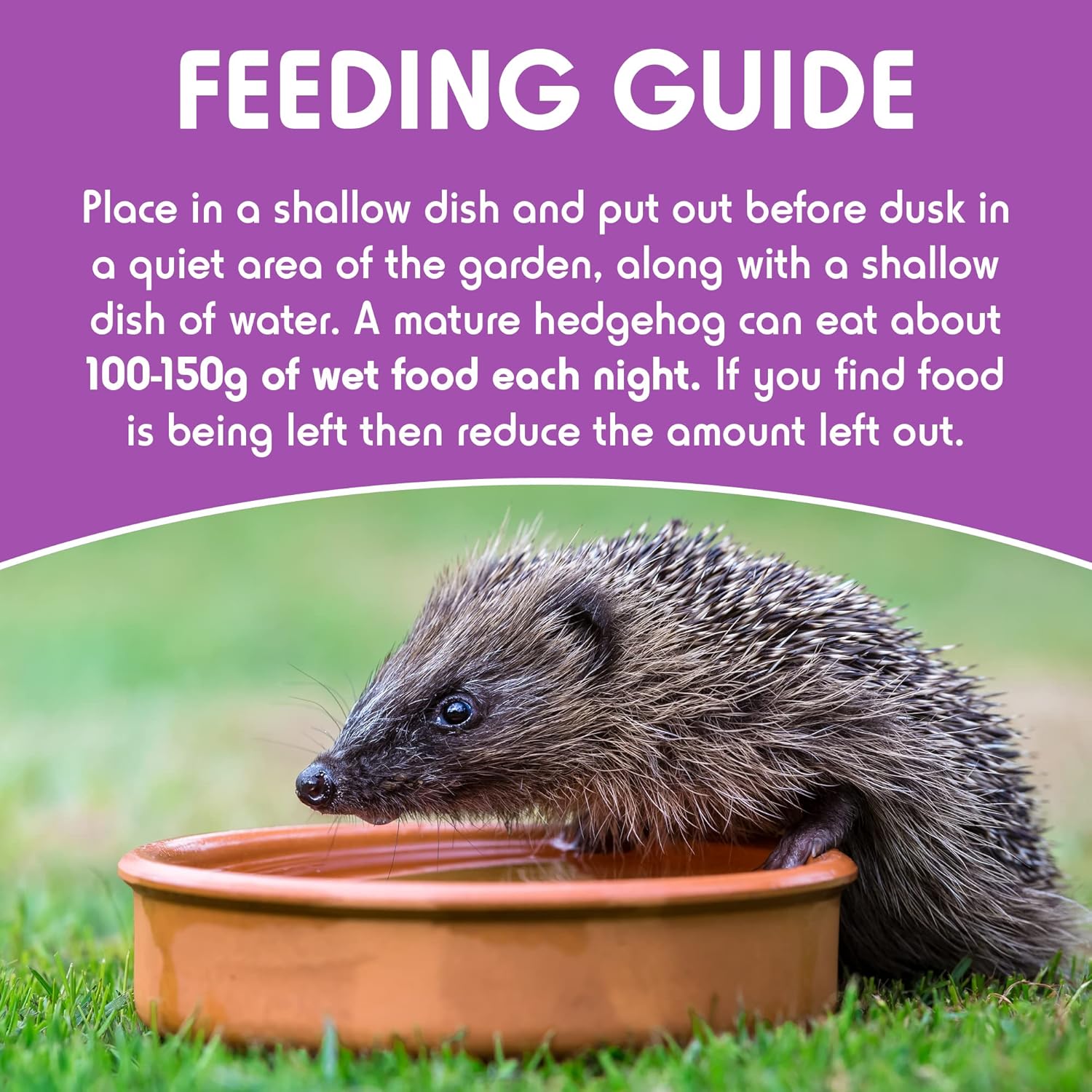 Spike's Meaty Feast Sausage Hedgehog Food Farm Feed