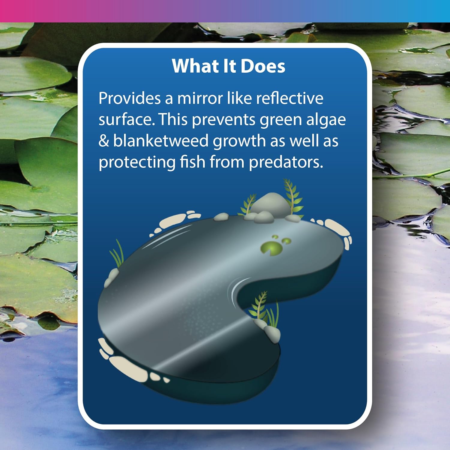 Nt Labs Pond Black Pond Dye 250ml 