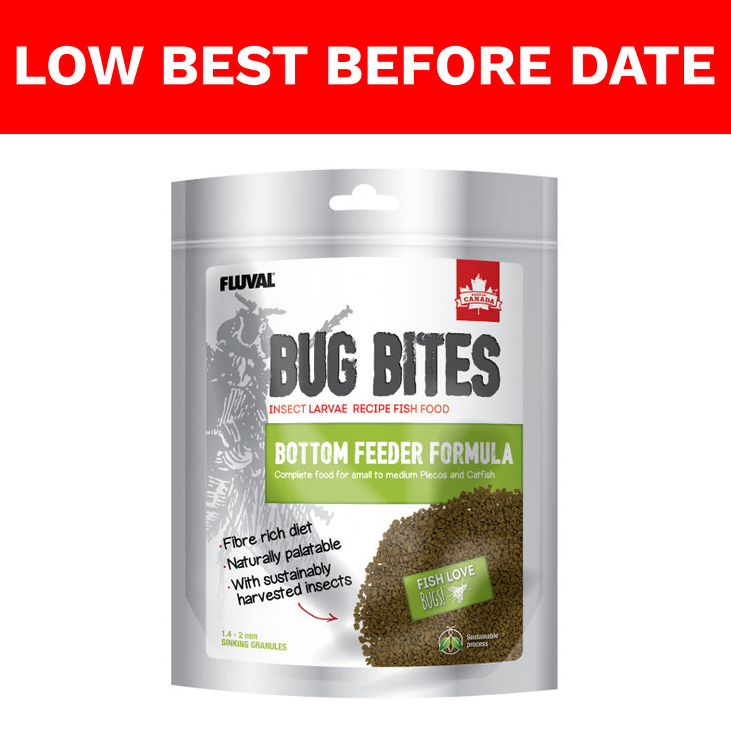Fluval Bug Bites Bottom Feeder - Short Dates