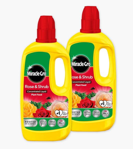 Miracle-Gro Rose & Shrub Concentrate 800ml Twin Pack