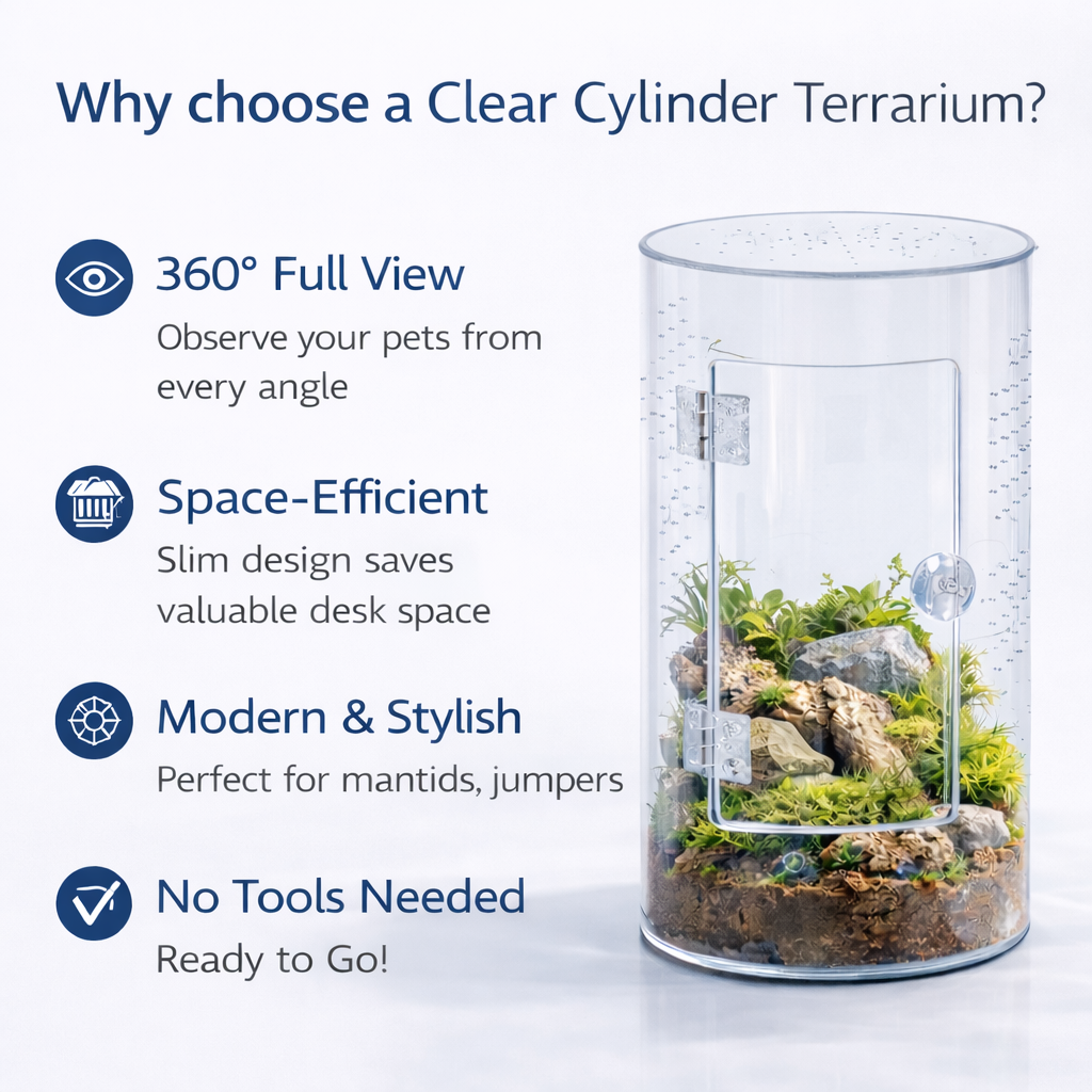Reptile Repto Terra Clear Transparent Cylinder Acrylic Terrarium 360° View 