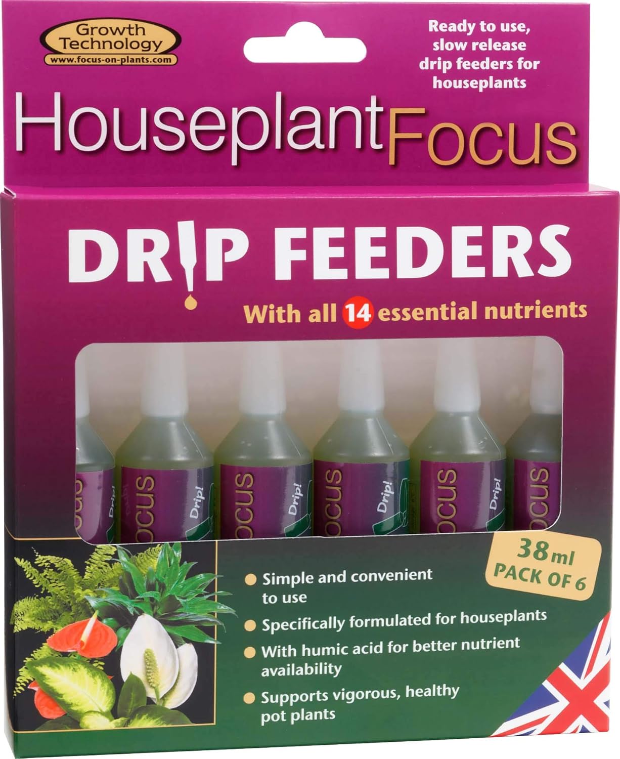 Growth Technology Houseplant 