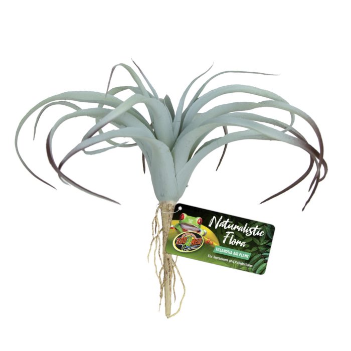 ZooMed Naturalistic Tillandsia Air Plant