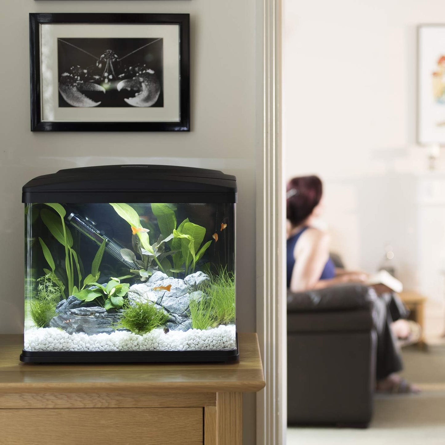 The Interpet Deltatherm 200W Aquarium Heater