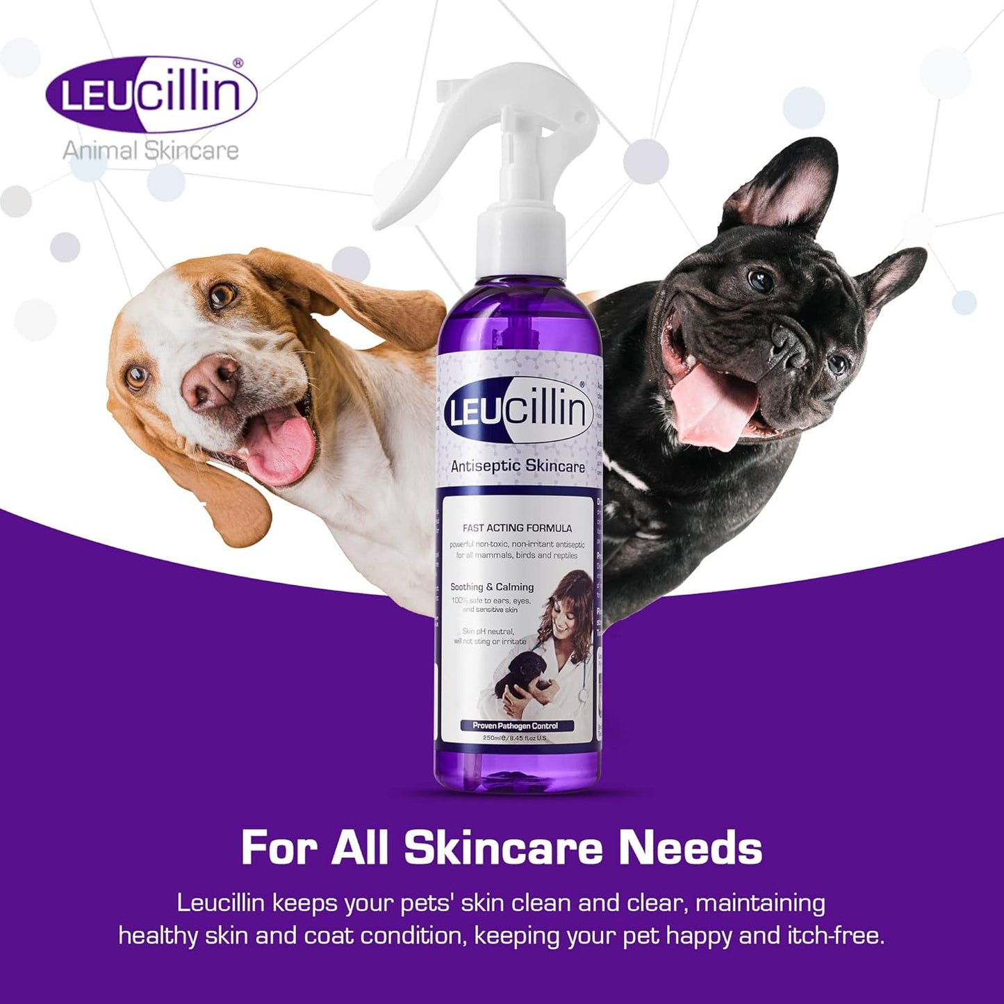 Leucillin Antiseptic Dog Cat Skin Care Solution Spray Instant Germ Killer