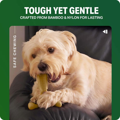 Bamboodles Chew Toys Infusion Medium Cheese 