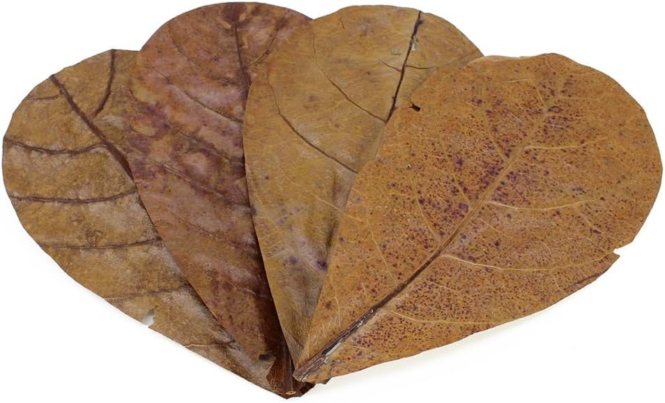 Seachem Aquarium Fish Tank Catappa Leaves
