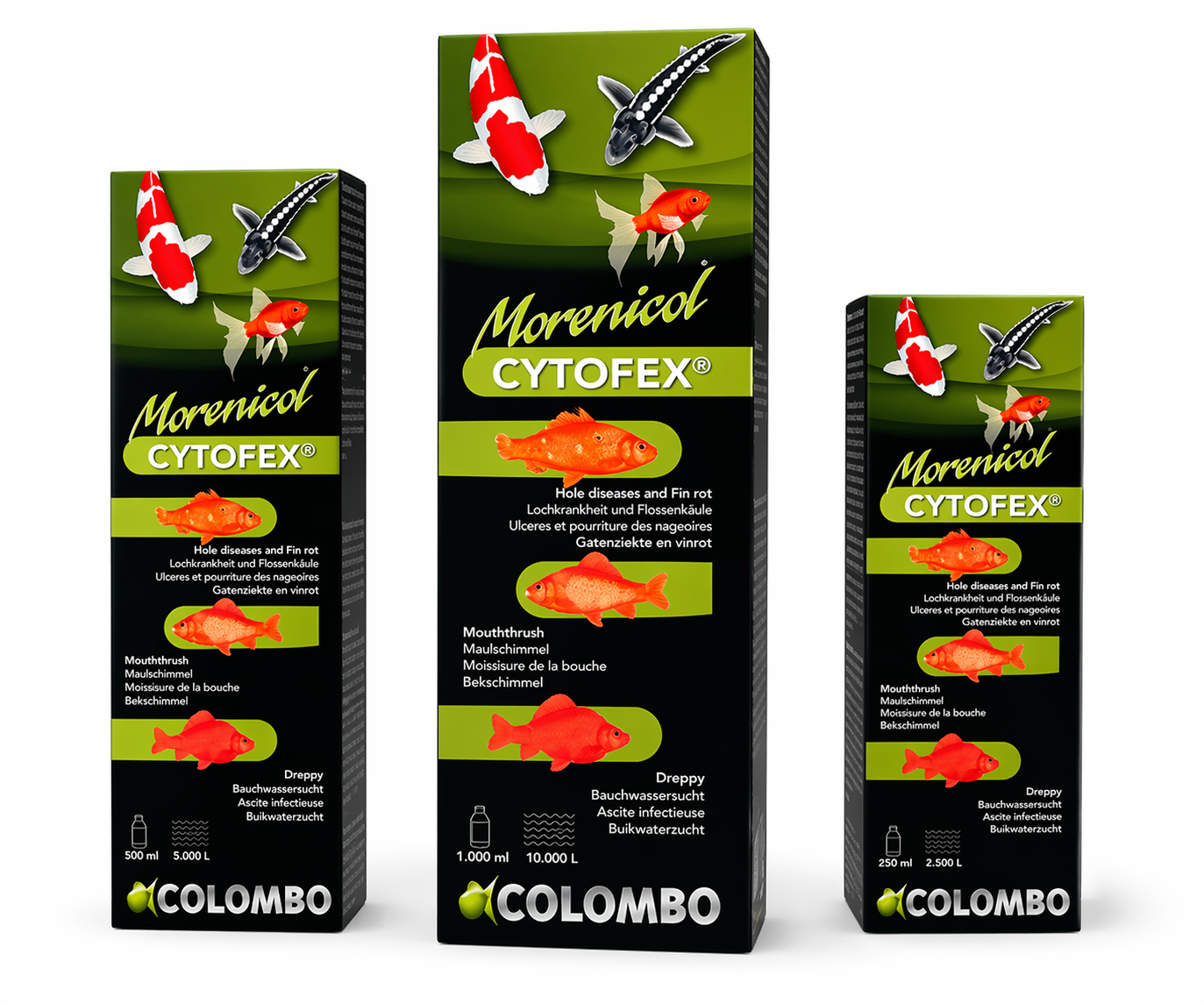 Colombo Cytofex Pond Fish Treatment | Fin Rot, Ulcers & Hole Disease Remedy
