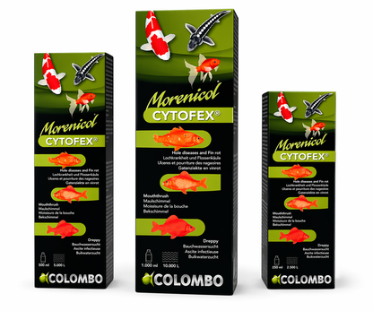 Colombo Cytofex Pond Fish Treatment | Fin Rot, Ulcers & Hole Disease Remedy