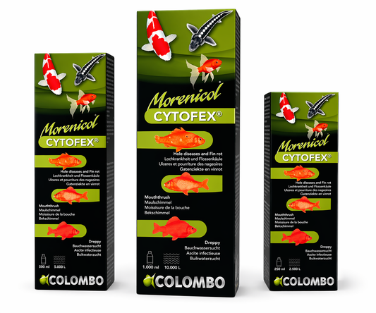 Colombo Cytofex Pond Fish Treatment | Fin Rot, Ulcers & Hole Disease Remedy
