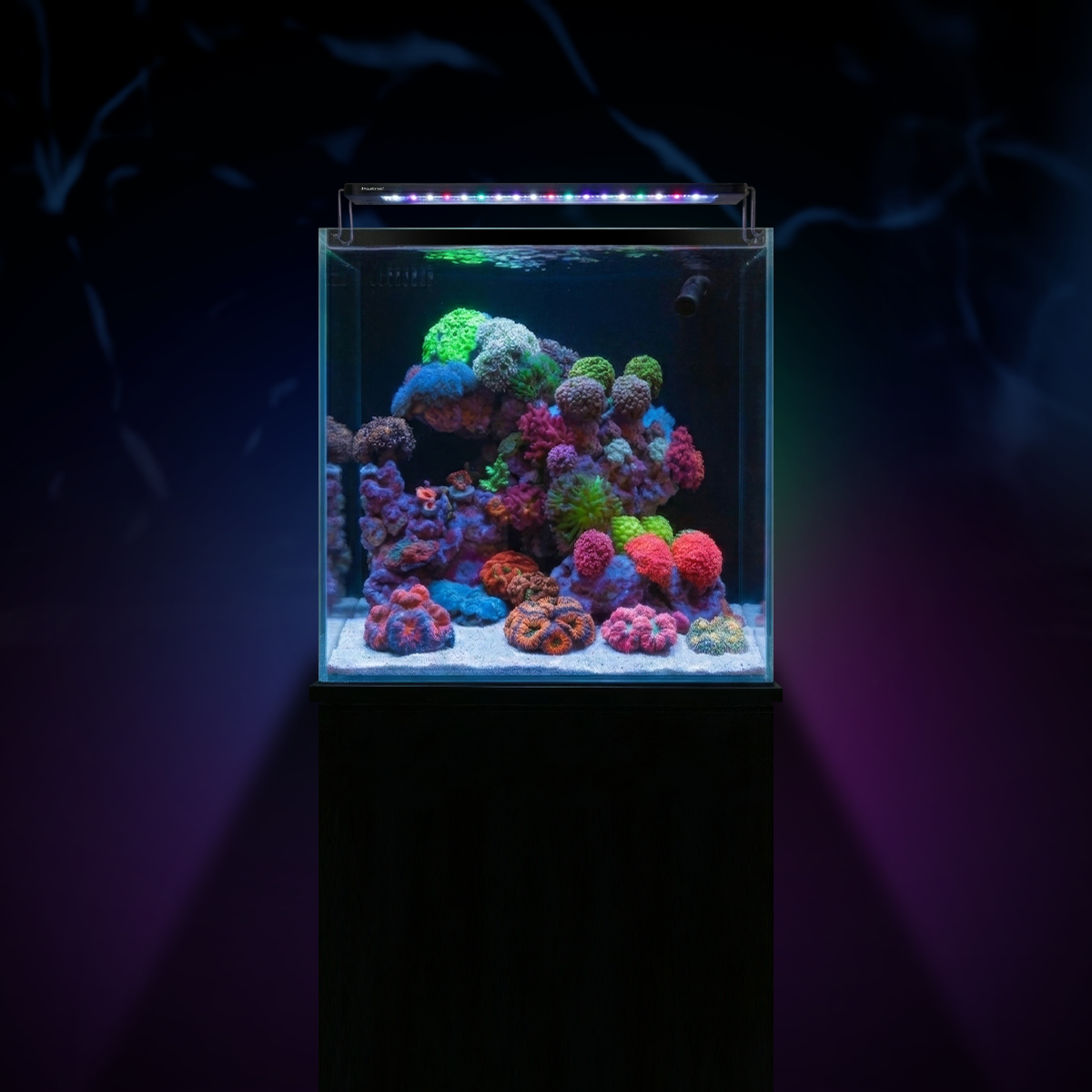 Aquaforest Nano Tank 85L Reef in the Box Complete Marine Reef Aquarium Starter Kit