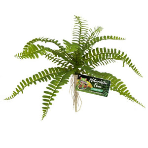 ZooMed Naturalistic Sword Fern