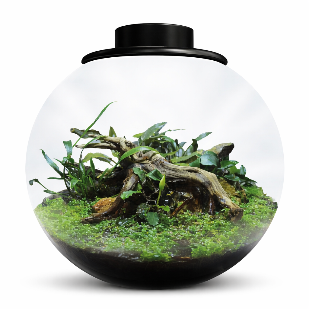 BioArt Bowl 225 Black Nano Garden – 5.1L LED Plant Terrarium Dome