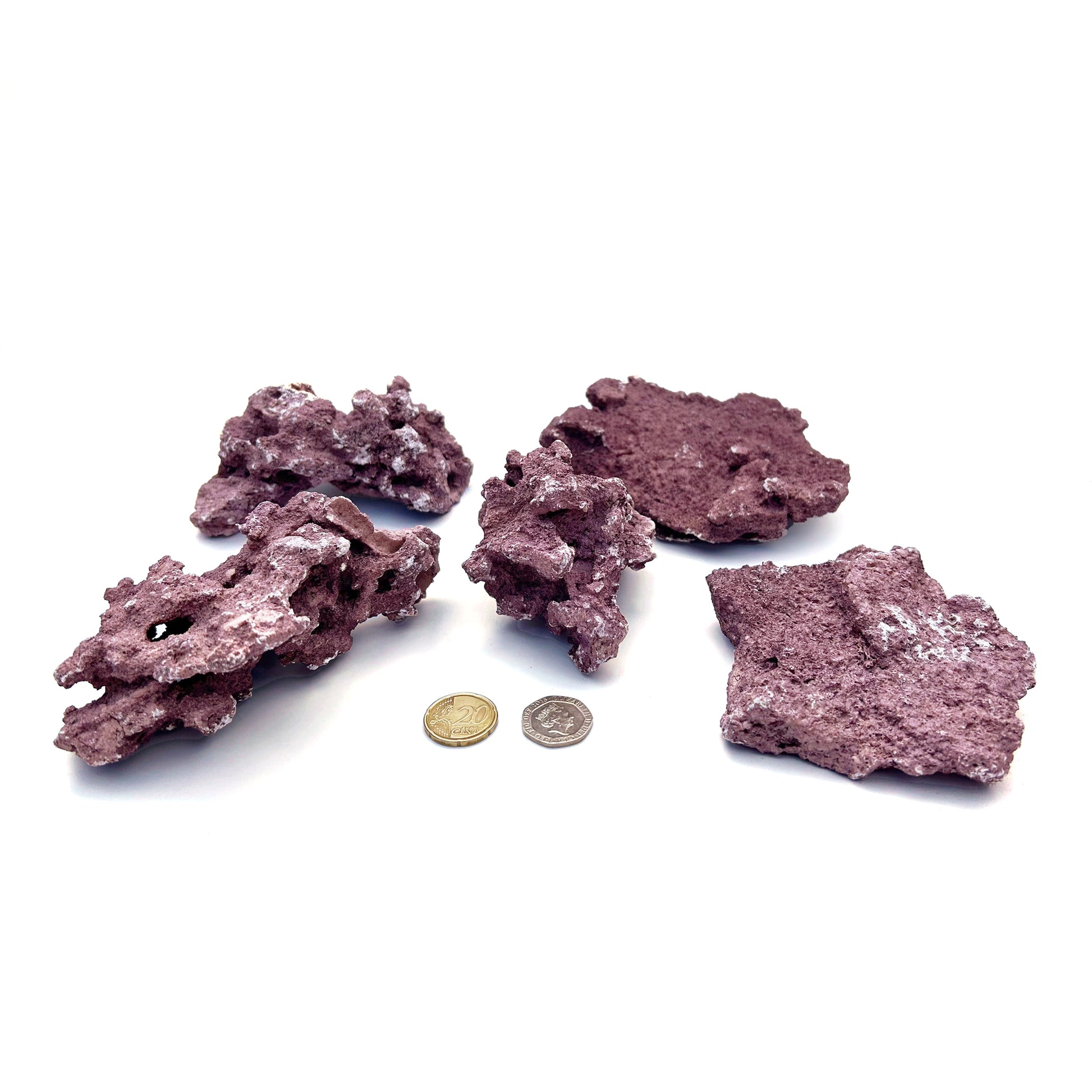 D-D Marco Frag Mounts 4.09kg – Natural Coral Frag Mounting for Marine Aquariums