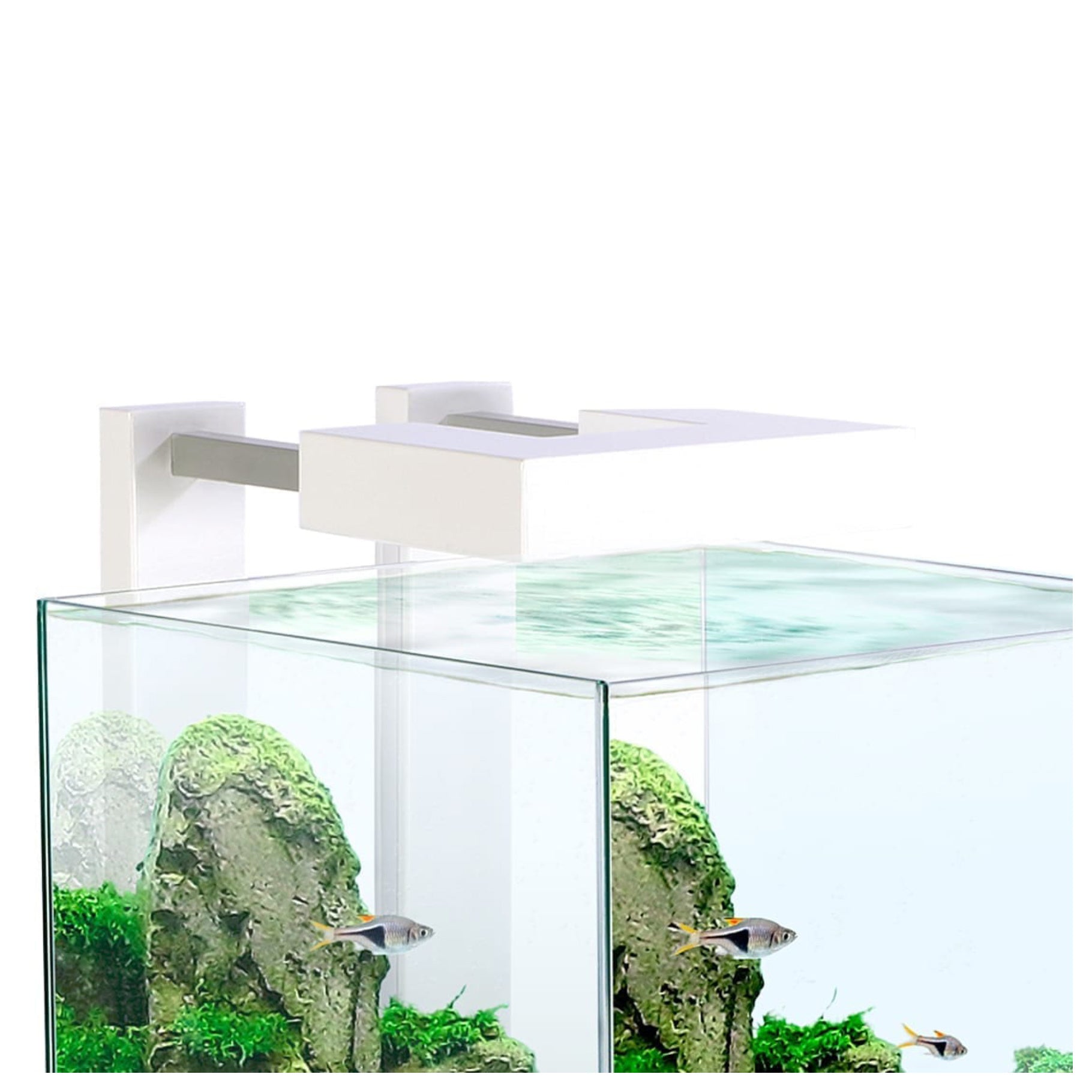 Ciano Nexus Pure 15 Shrimp Aquarium 14L