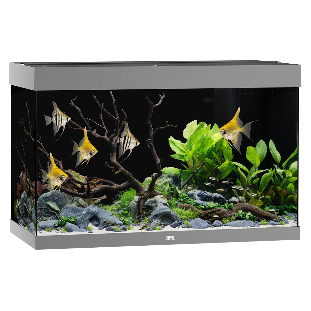 Juwel Rio 290 LED Aquarium Only