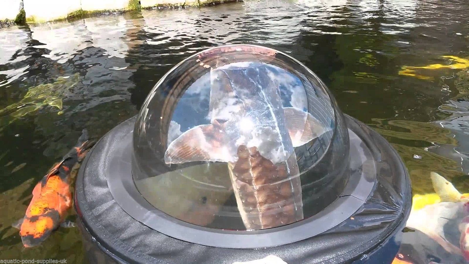 Velda Floating Pond Fish Viewing Dome 36cm