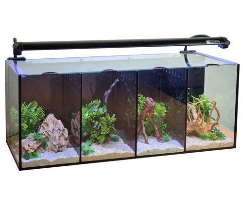 Aqua One Betta Quad 60L Fish Tank