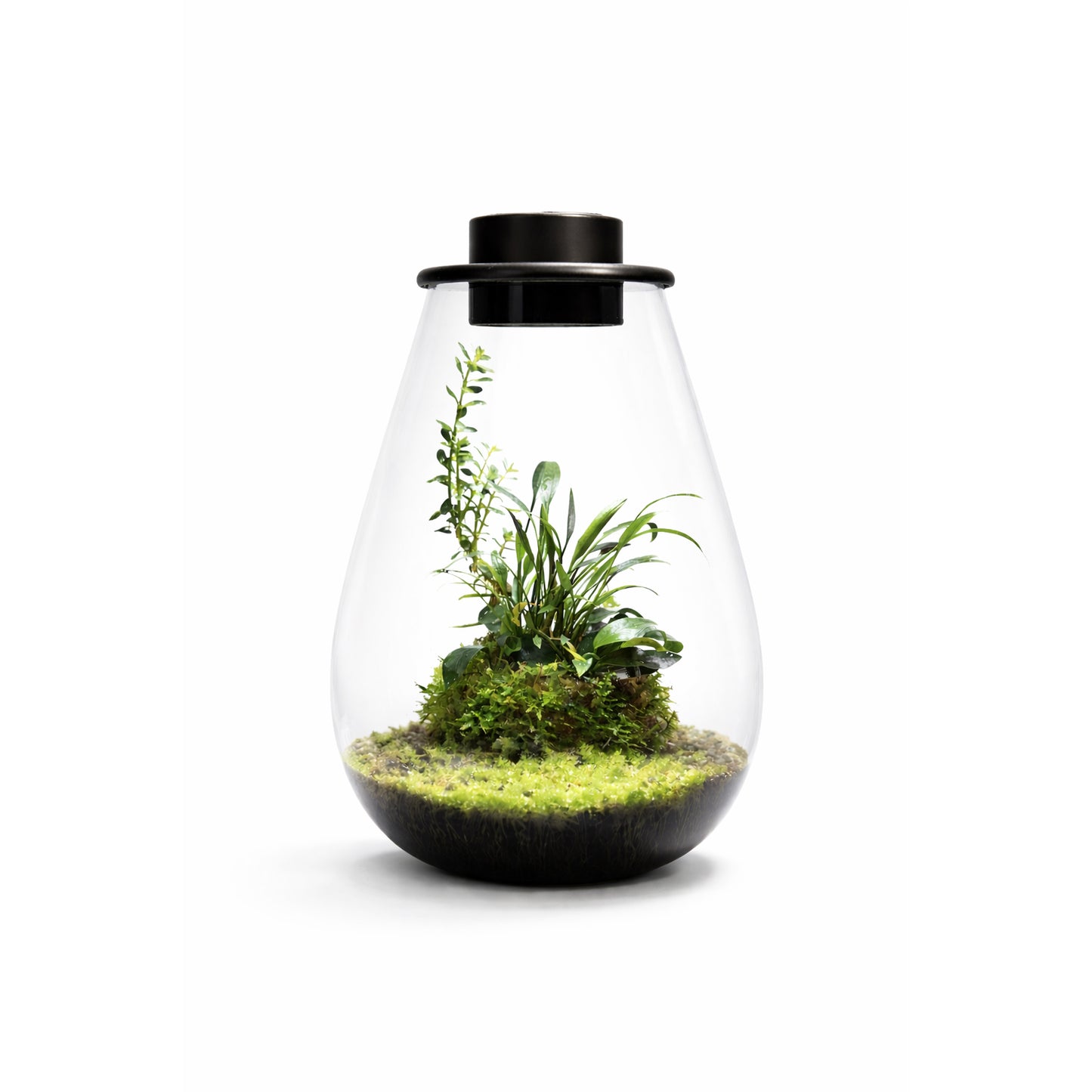 BioArt Drop 285 Black Nano Garden – 5.1L LED Plant Terrarium Dome