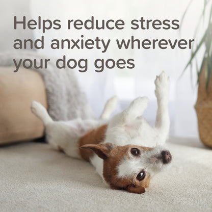 Beaphar Calming Dog Collar