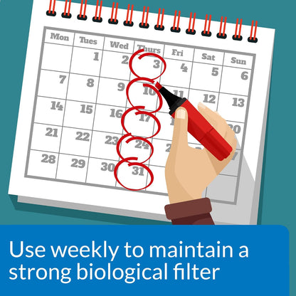 API Stress Zyme Bacteria Booster