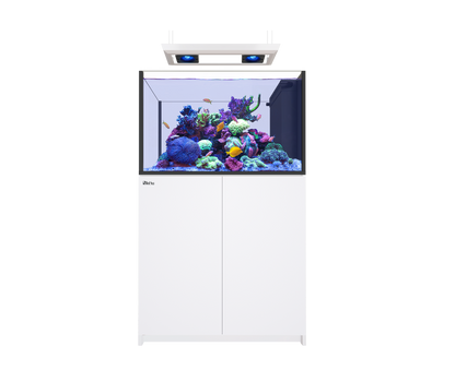Red Sea Reefer MAX Peninsula 350 G3 Aquarium