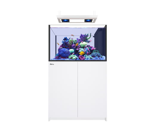 Red Sea Reefer MAX Peninsula 350 G3 Aquarium