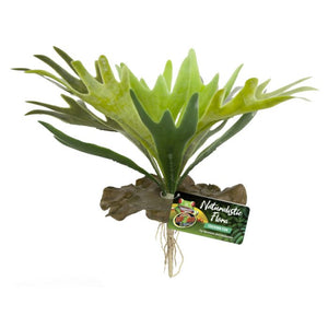 ZooMed Naturalistic Staghorn Fern