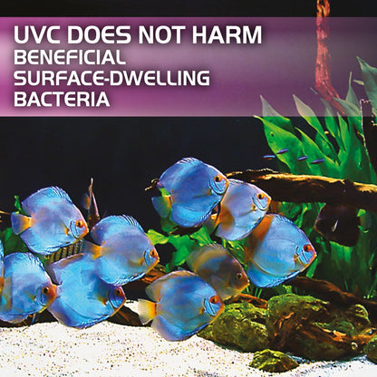 Fluval 3w In-Line UVC Clarifier 2024