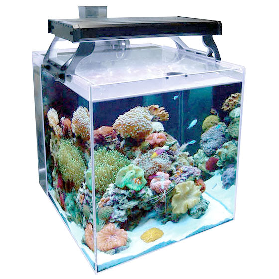 Aqua One NanoReef 35 Complete Marine Aquarium