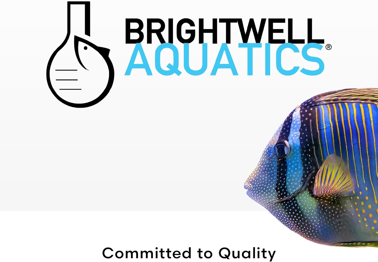 Brightwell Kalk+2 225g Marine Reef Buffer