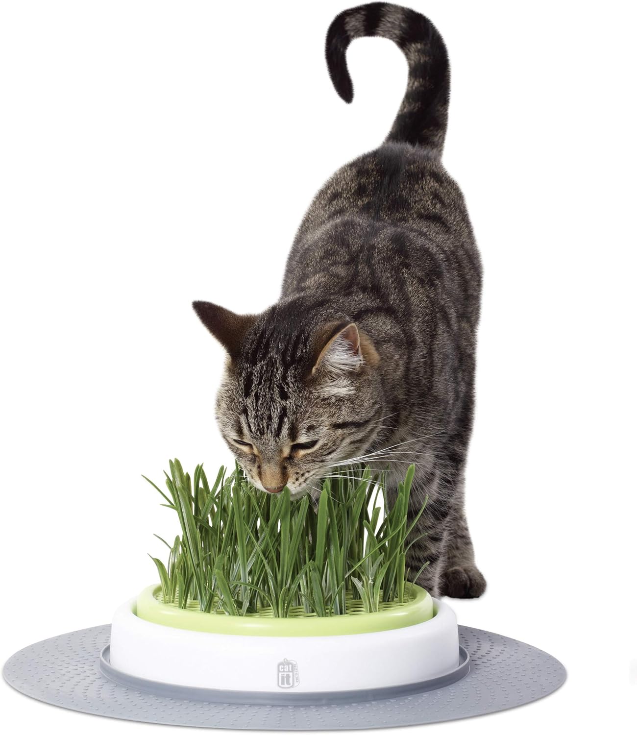 Catit Senses Grass Garden Kit Cat Interactive Toy