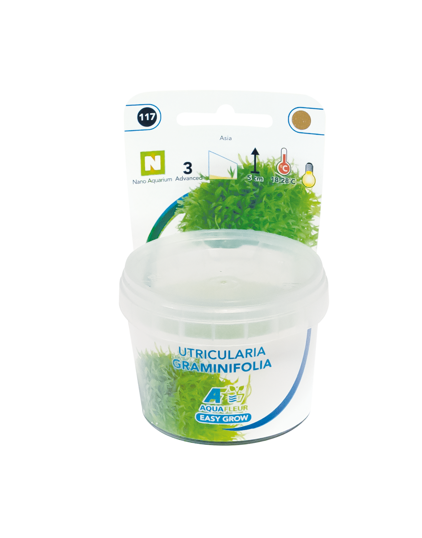 Aquafleur Easy Grow 117 Utricul. Graminifolia 