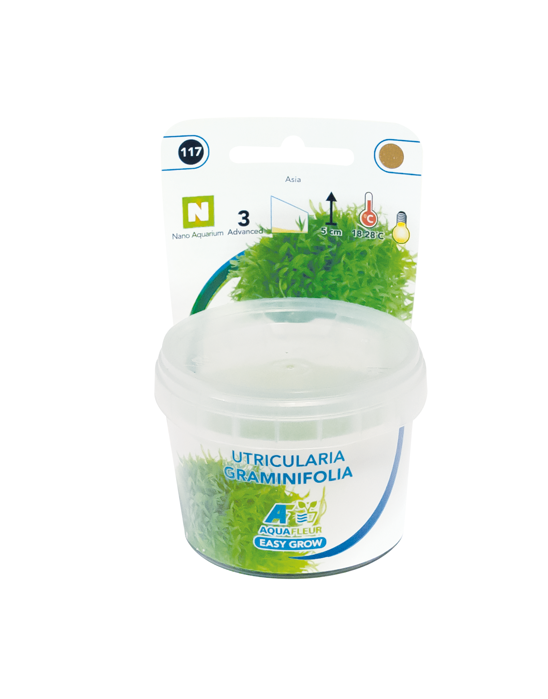 Aquafleur Easy Grow 117 Utricul. Graminifolia 