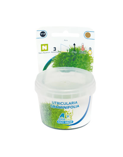 Aquafleur Easy Grow 117 Utricul. Graminifolia 