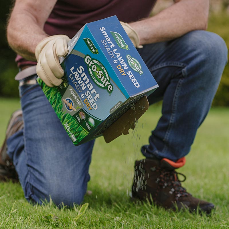 Westland Gro-Sure Smart Lawn Seed Shady & Dry 20m² Drought Tolerant