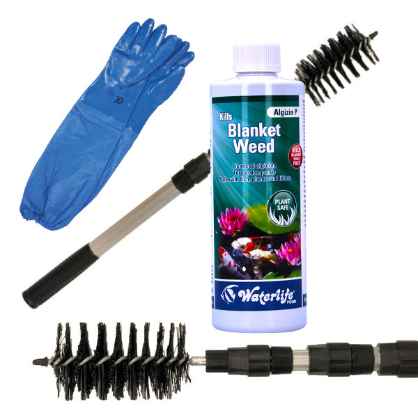 Blanketweed Bundle: Brush, Gloves & Algizin P