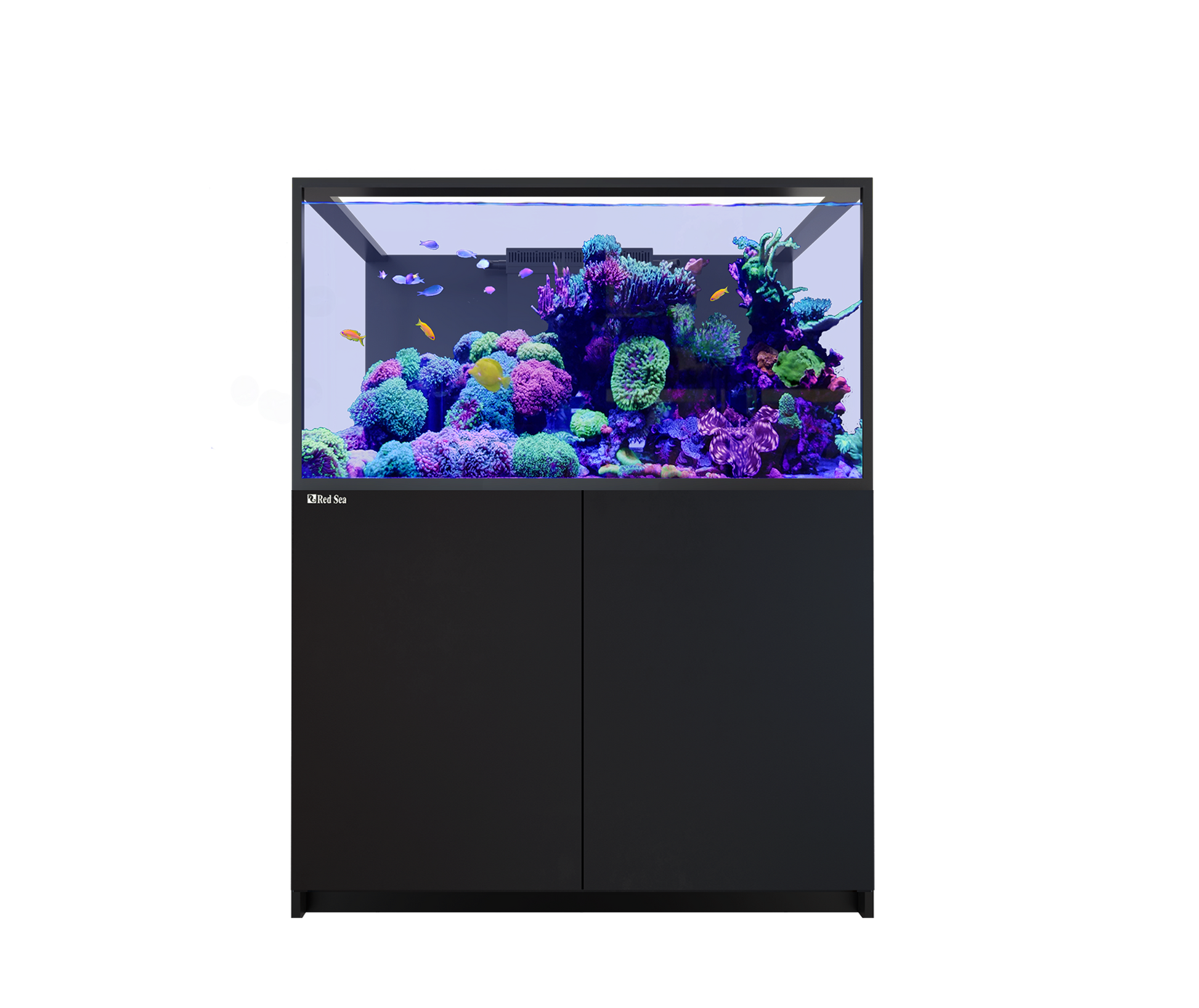 Red Sea Reefer S-550 G3 Aquarium