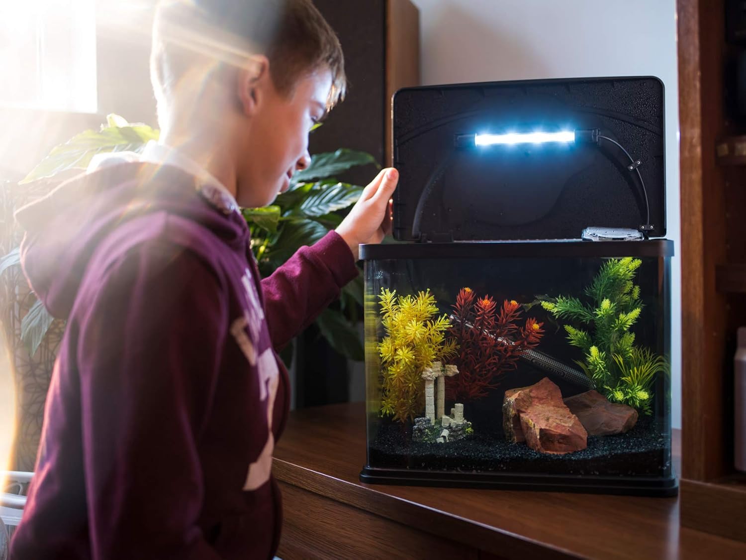 The Interpet Deltatherm 200W Aquarium Heater